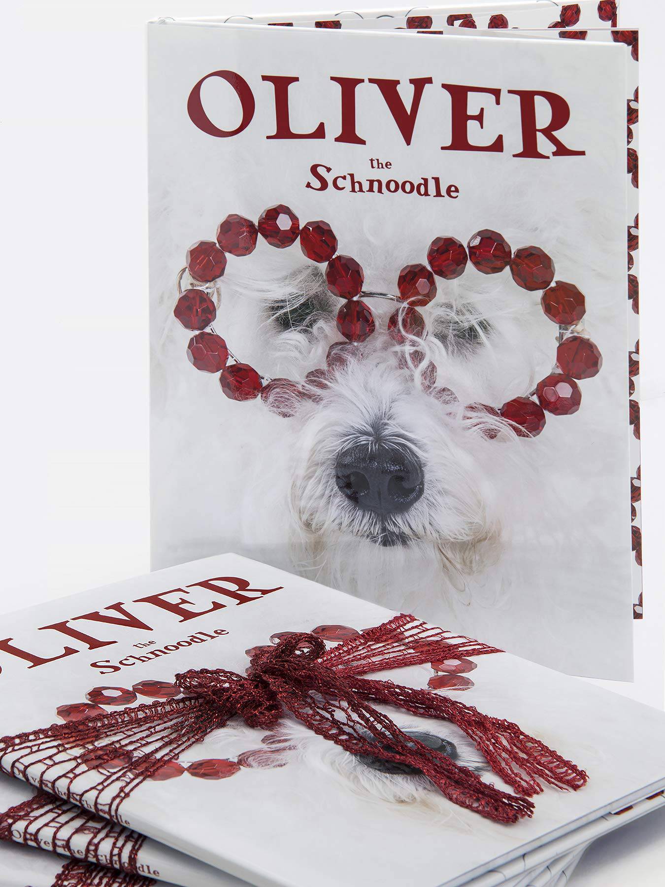 OLIVER the Schnoodle Book - Twinkle Twinkle Little One