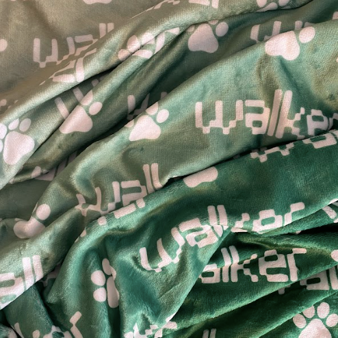 Sugar + Maple Plush Minky Fleece Personalized Blanket | Jungle Ombre - Twinkle Twinkle Little One