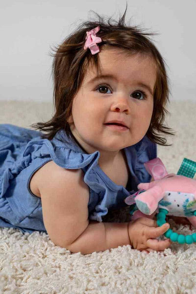 Taggies Roar-a-saurus Teether Rattle - Twinkle Twinkle Little One