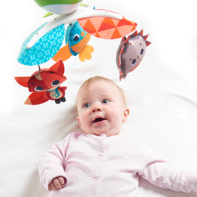 Tiny Love Meadow Days Take-Along Mobile - Twinkle Twinkle Little One