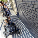 Veer Cruiser All-Terrain Wagon - Twinkle Twinkle Little One