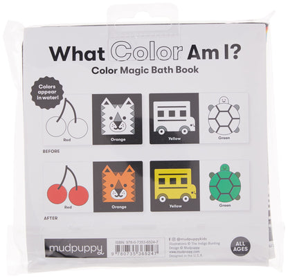 What Color Am I? Magic Bath Book - Twinkle Twinkle Little One