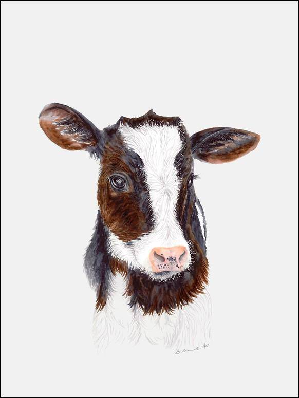 Baby Cow Portrait Canvas