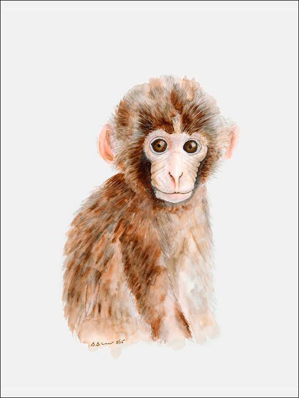 Baby Monkey Portrait Canvas