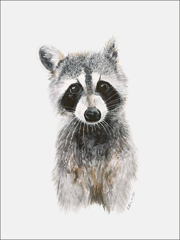 Baby Raccoon Portrait Canvas