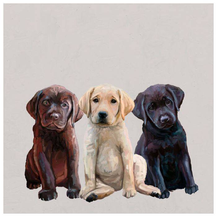 Best Friend - Lab Puppies Wall Art - Twinkle Twinkle Little One