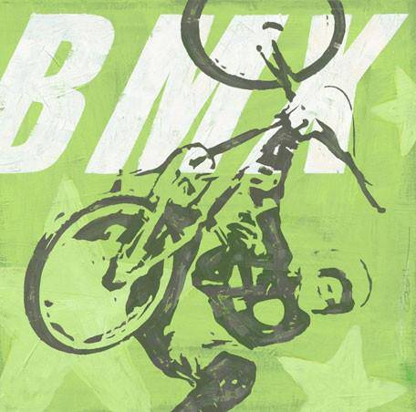 Extreme Sports-BMX Canvas Reproduction