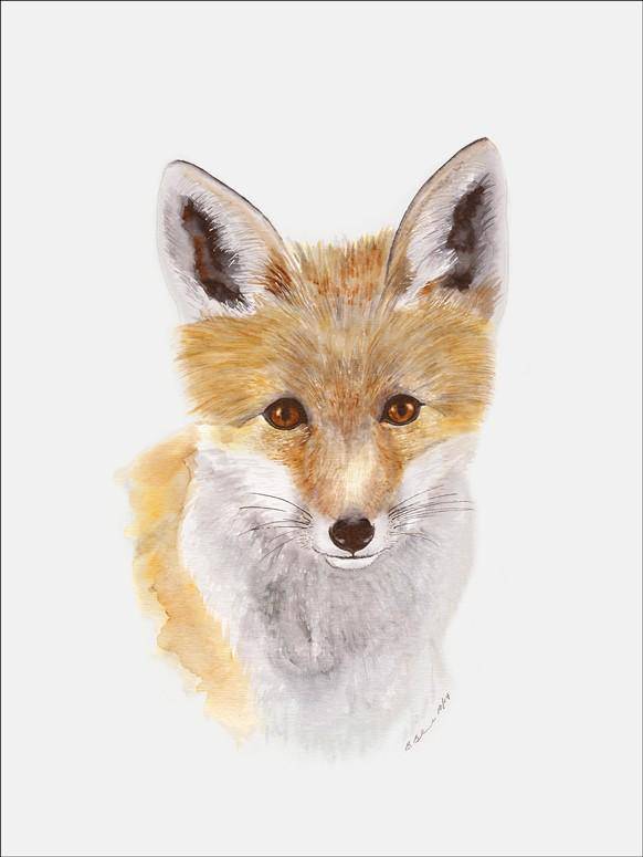 Fox Pup Portrait Canvas