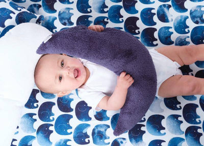 Indigo Moon Pillow