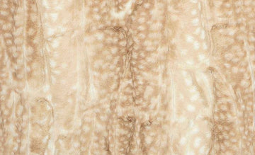 Minky Fawn Lovie - Twinkle Twinkle Little One