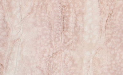 Minky Fawn Lovie - Twinkle Twinkle Little One