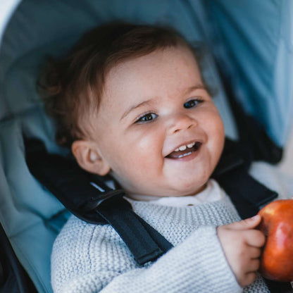 Thule Stroller Seat Liner - Twinkle Twinkle Little One