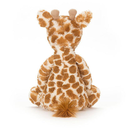 Medium Bashful Giraffe