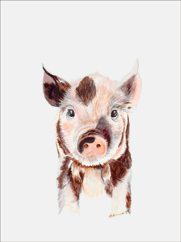 Piglet Portrait Canvas