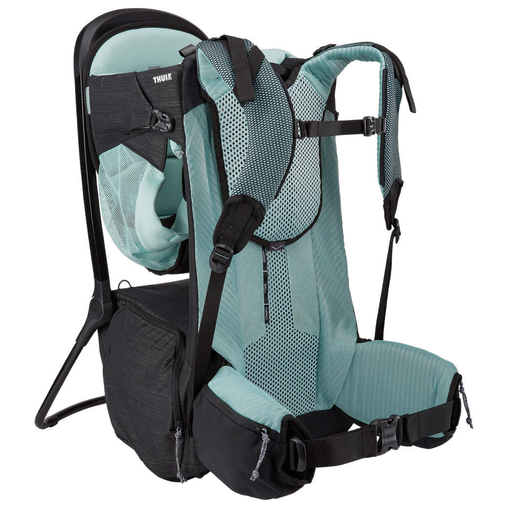 Thule Sapling Child Carrier - 0