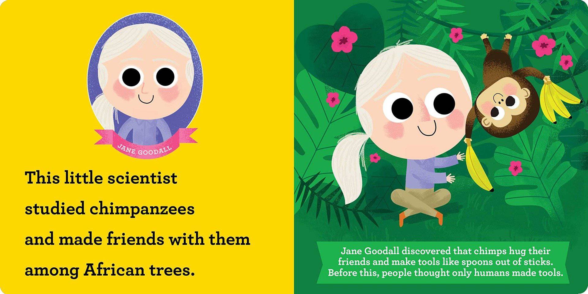 This Little Scientist: A Discovery Primer Book